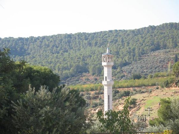 Mosque near Olive Grove