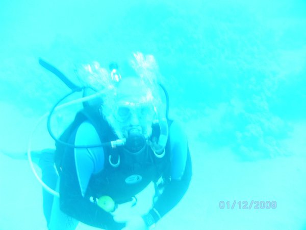 PADI Open Water Course