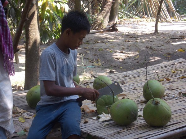 Cracking the coconut