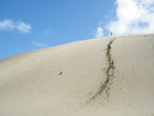 "steps" up the sand dunes