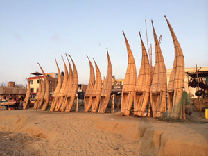 reed boats