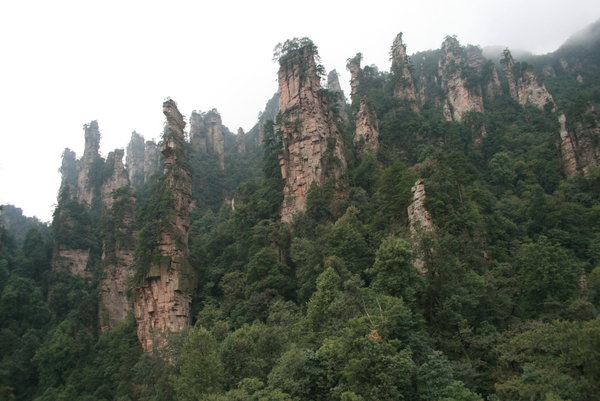 Beautiful Peak Forest - Wulingyuan