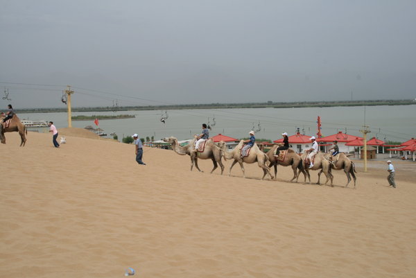 Camel lines in Sand Lake