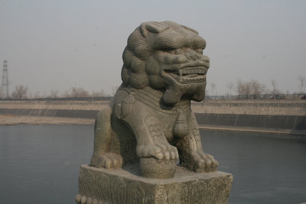 Lion Carvings