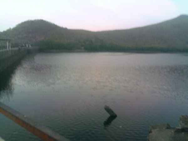Wellington dam