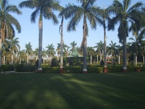 Ajwa Nimeta Garden