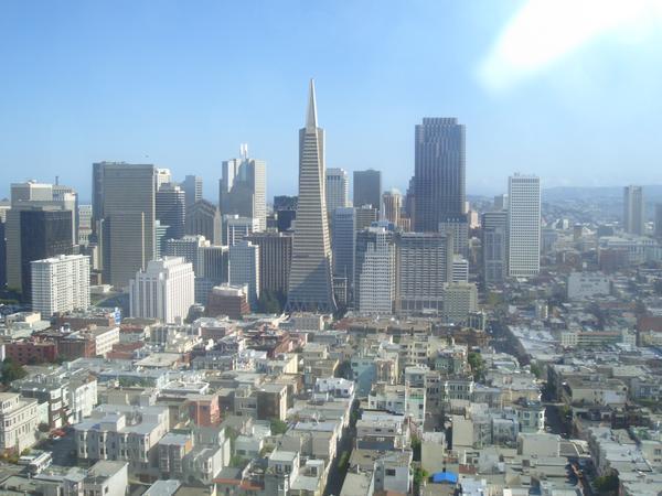 View of San Fran from Coit Tower