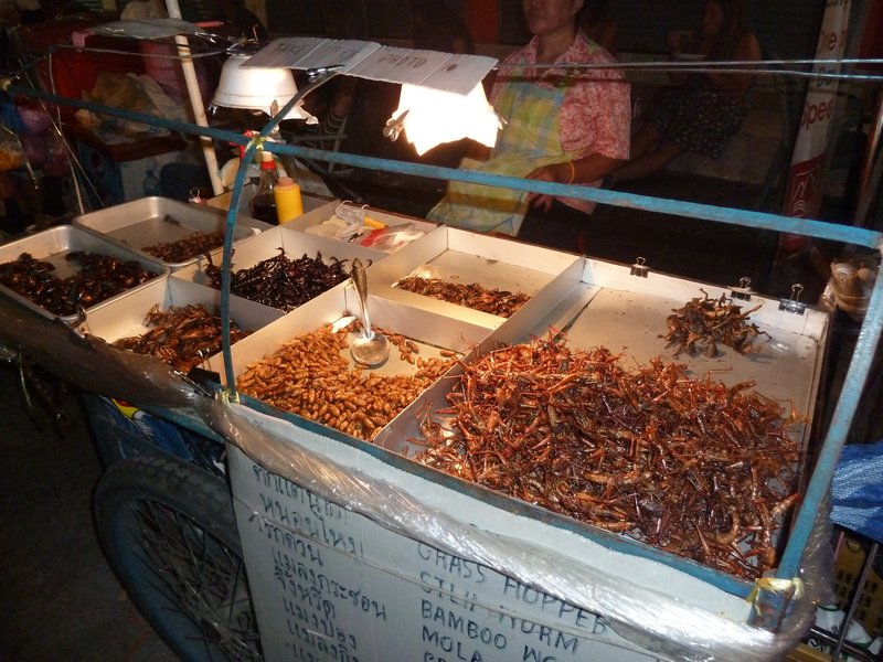 Fried cockroach for dinner anyone!?
