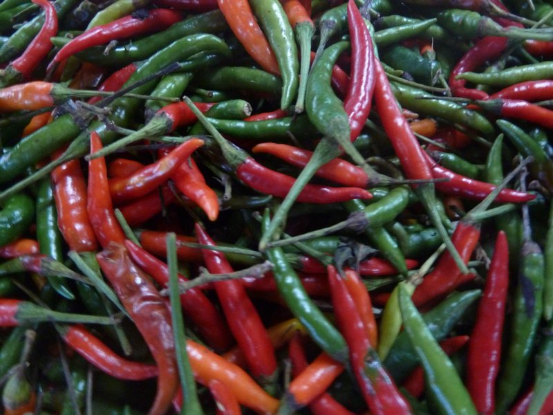 A collection of chillis