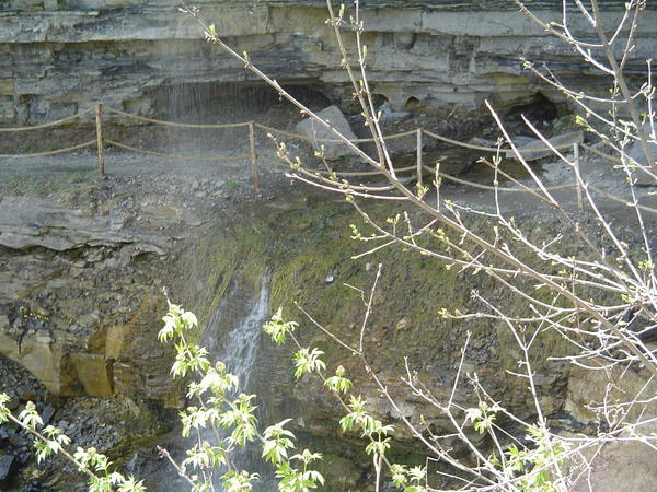 bottom of the falls