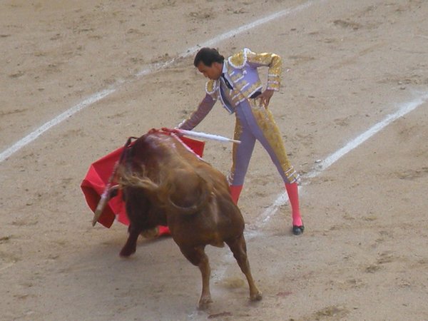 The Matador and his opponent