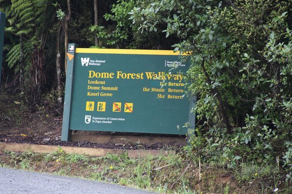 dome forest walkway