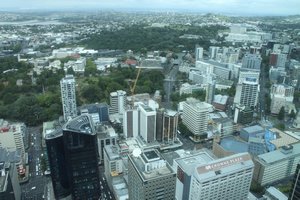 skytower view Auckland