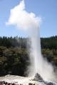 im a geezer this is a geyser