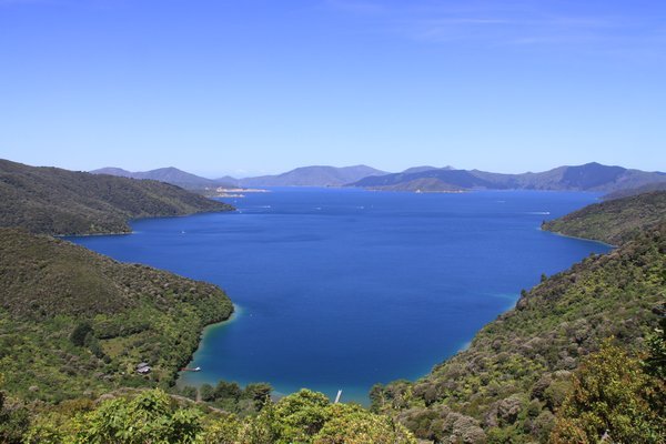 view from Queen Charlotte Track