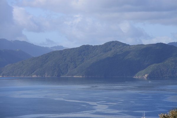 view from top of Motuara Island