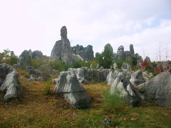 Karst formation in Shilin National Park