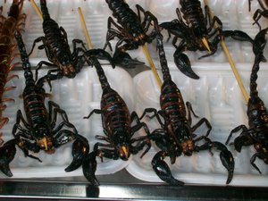 Guangzhou food street market, Scorpions | Photo