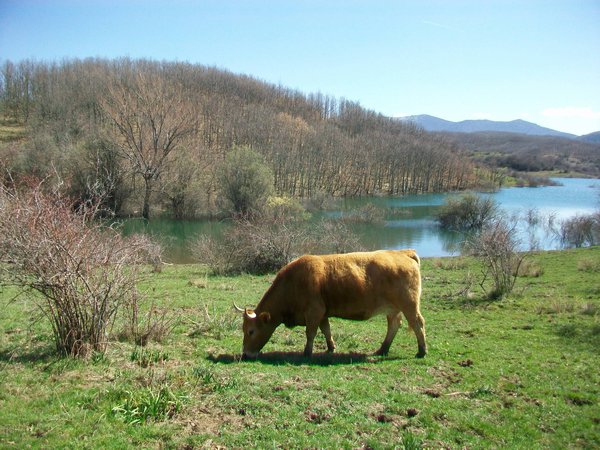 Pantano del Porma, Boñar (León, Spain)