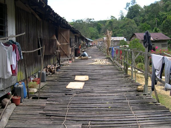 crops in the longhouse