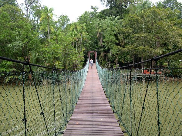 flying bridge at Similajau