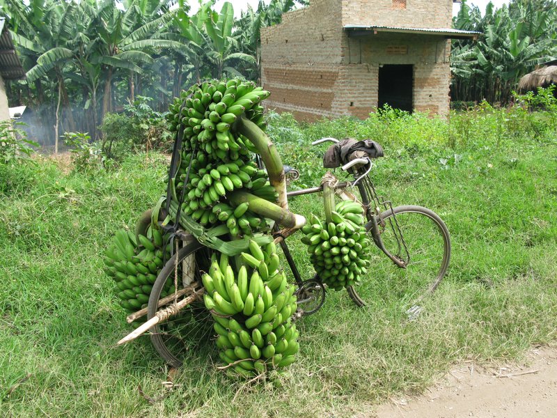 bike and bananas