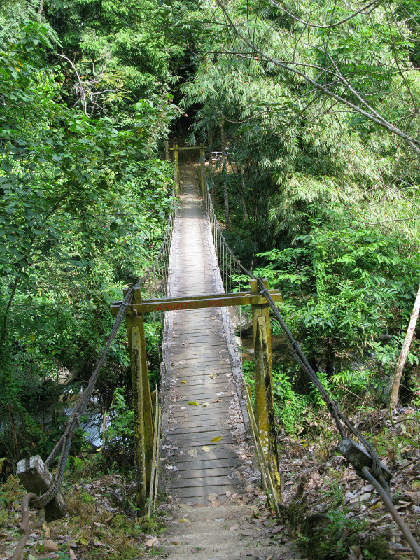 a hanging bridge