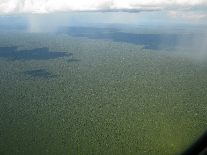 amazonia from the plane