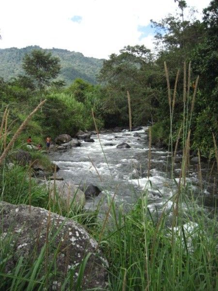 River In Mindo