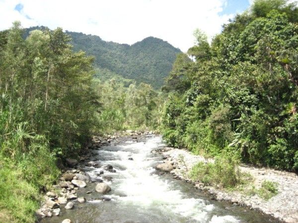 River In Mindo