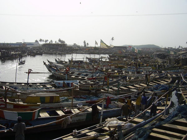 Elmina 