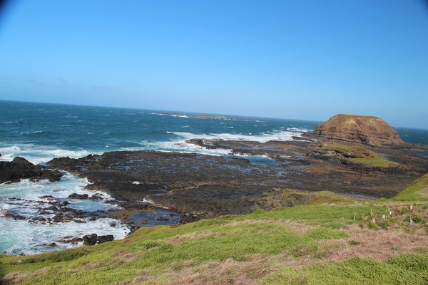 Nobbies Point