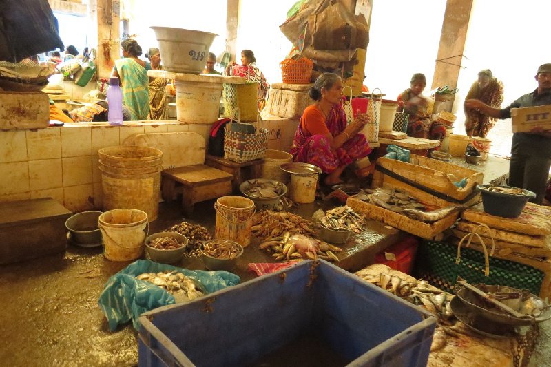 Fish market Pondicherry