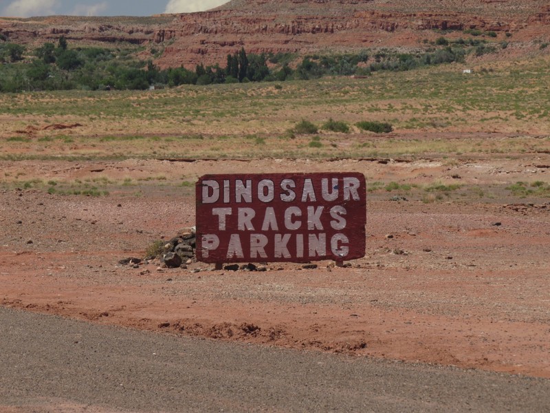 Park your dinosaur here