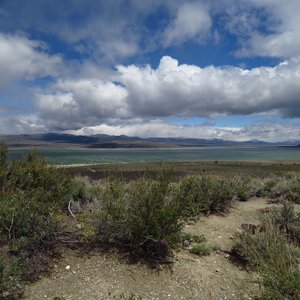 Mono lake