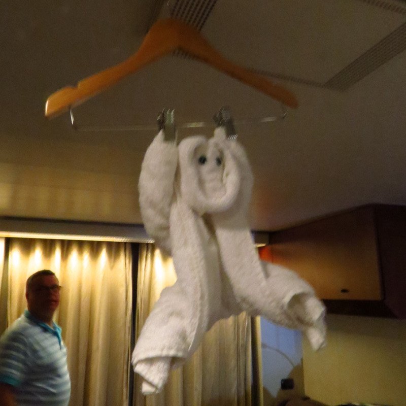 Nightly Towel decoration from our cabin steward