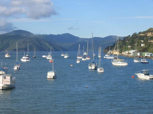 Sailboats in Picton