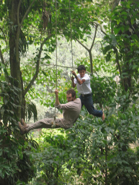 Jungle Swing