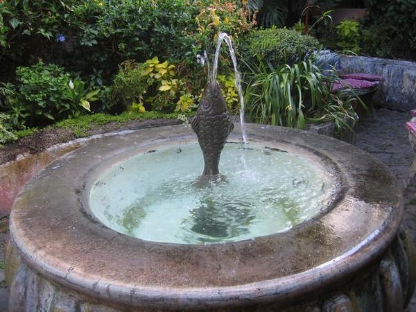 Fish Fountain