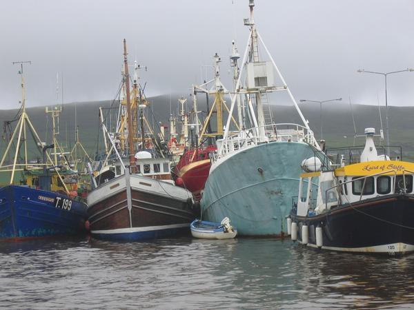 Dingle Bay fishing vessels
