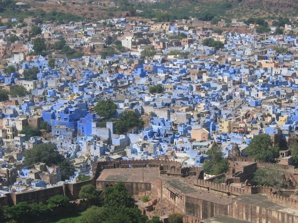 Jodhpur is called the blue city
