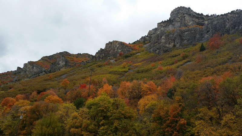 Gray Rock, Fall Color, Happy Camper