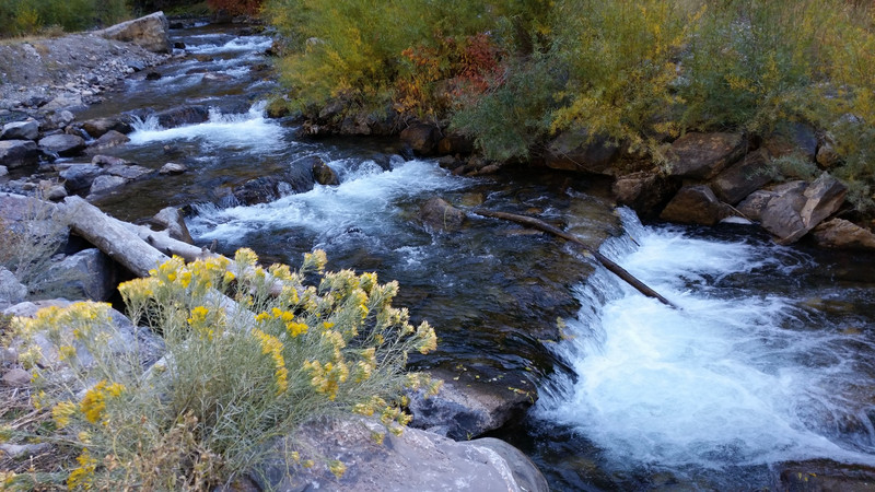 Canyons and Babbling Brooks – Somehow, They Go Hand-in-Hand
