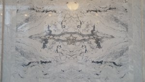 Common in Many Capitols, The Marble Reminds Me of the Infamous Rorschach Inkblot Test