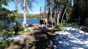 The Snow Had Vanished from the Well-Used Walking Path Around the Lake