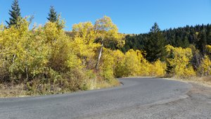 A Narrow Road, Blind Curves and Skimpy Pullouts Created a Less-than-Stellar, Relaxing Scenic Drive, but the Colors Were Sufficient Return-on-Investment