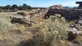 The Unprotected Ruins Are Distinguishable, Unlike Those Found at Sand Canyon Pueblo