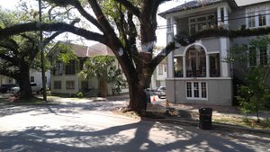 The Better Frames I Took from the St. Charles Streetcar Turned Out Blurry – Sorry About That!