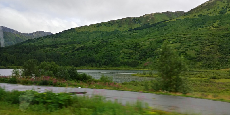 Some of the Alaska Scenery Between Seward AK and Anchorage AK as the Bus Sped Past