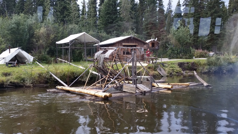 The Fish Wheel Catches a Winter’s Supply of Salmon for People and Dogs During the Run